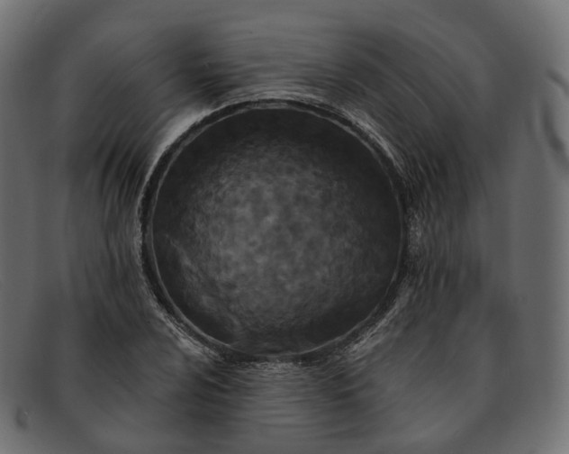 X0000091891024200709191213