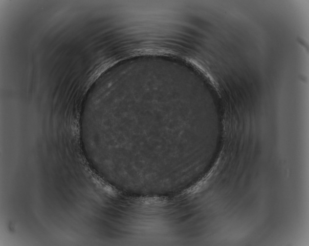 X0000091891025200709191213