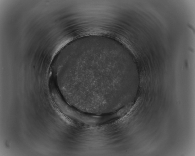 X0000091891026200709191213