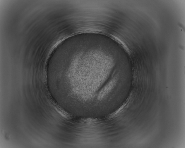 X0000091891027200709191213