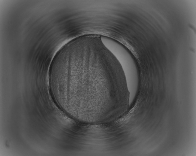 X0000091891028200709191213