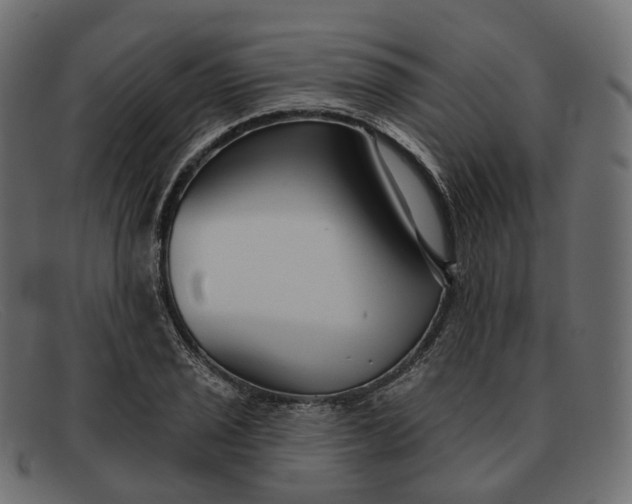 X0000091891029200709191213