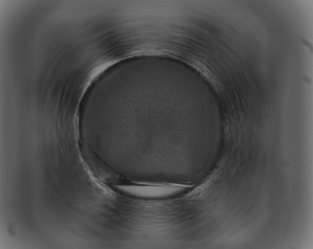 X0000091891030200709191213