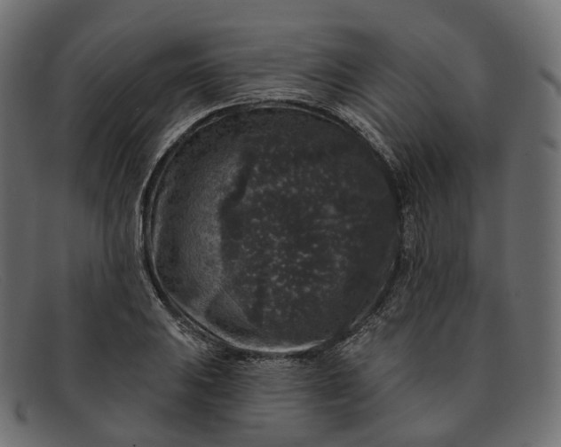X0000091891031200709191213