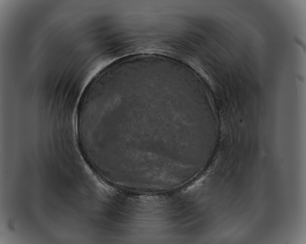 X0000091891032200709191213