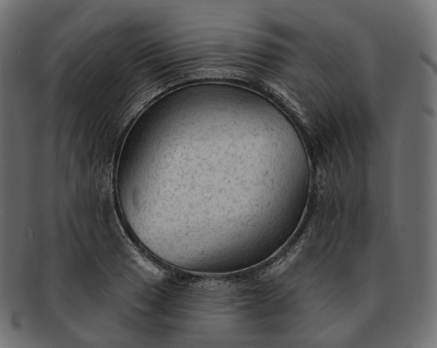 X0000091891033200709191213