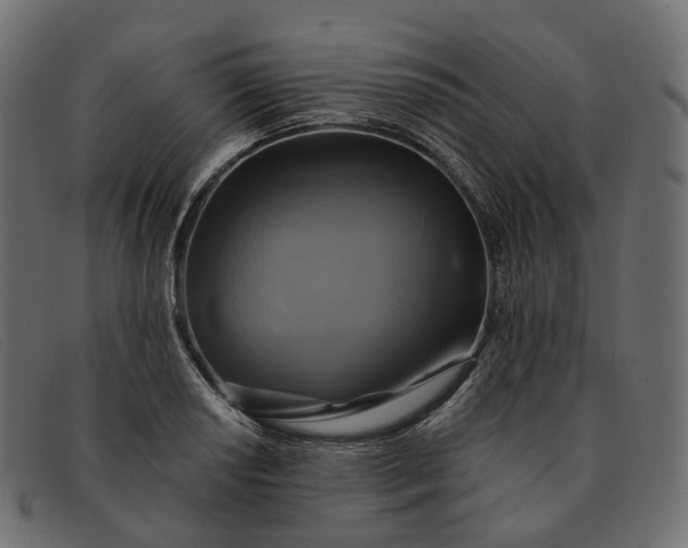 X0000091891034200709191213