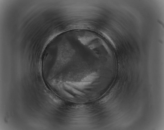 X0000091891035200709191213