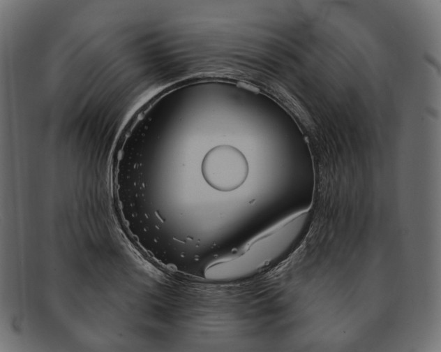 X0000091891036200709191213