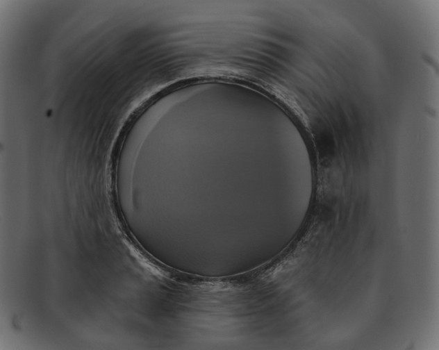 X0000091891037200709191213