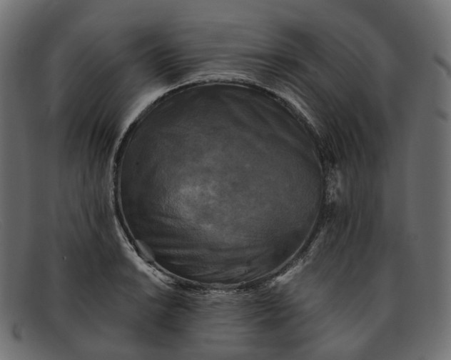 X0000091891038200709191213