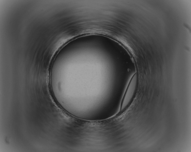 X0000091891040200709191213