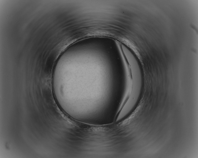X0000091891041200709191213
