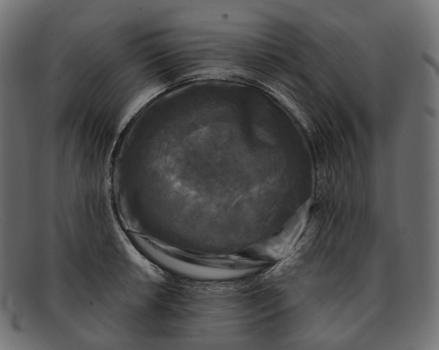 X0000091891042200709191213