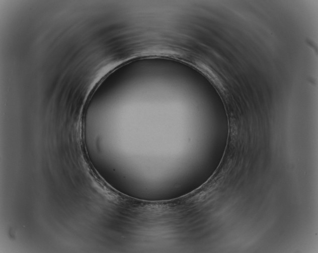 X0000091891044200709191213