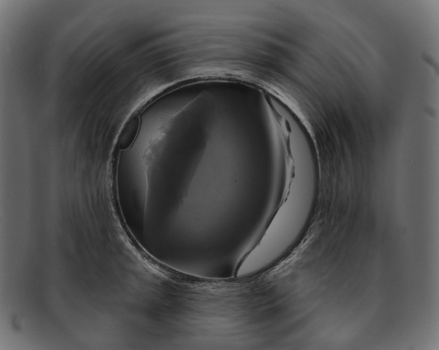X0000091891045200709191213