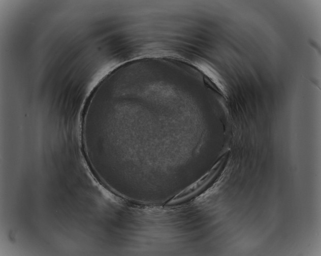 X0000091891046200709191213