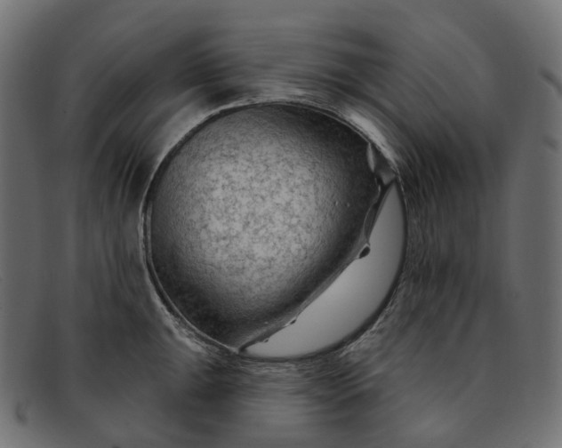 X0000091891047200709191213