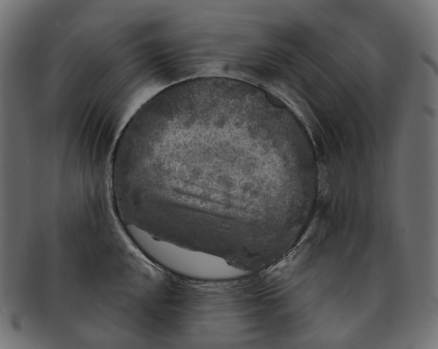 X0000091891048200709191213