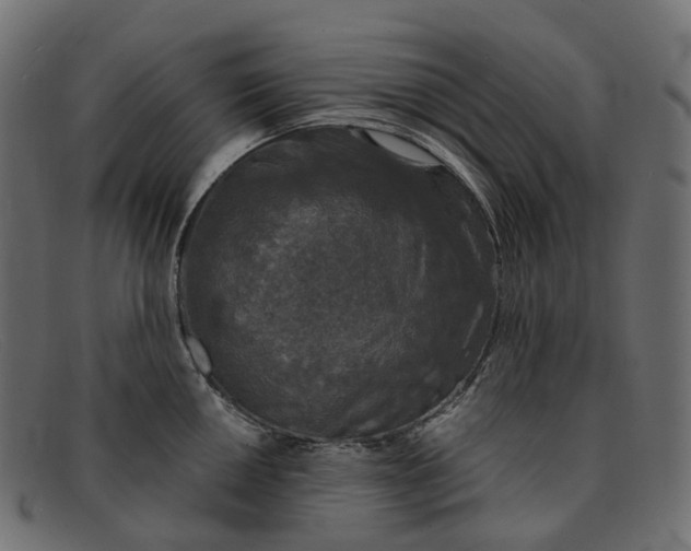 X0000091891050200709191213