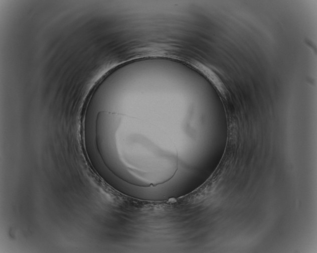 X0000091891051200709191213