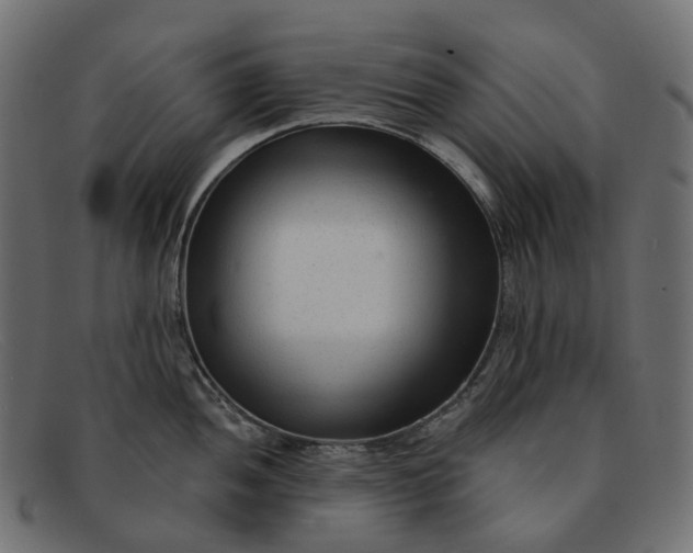 X0000091891052200709191213
