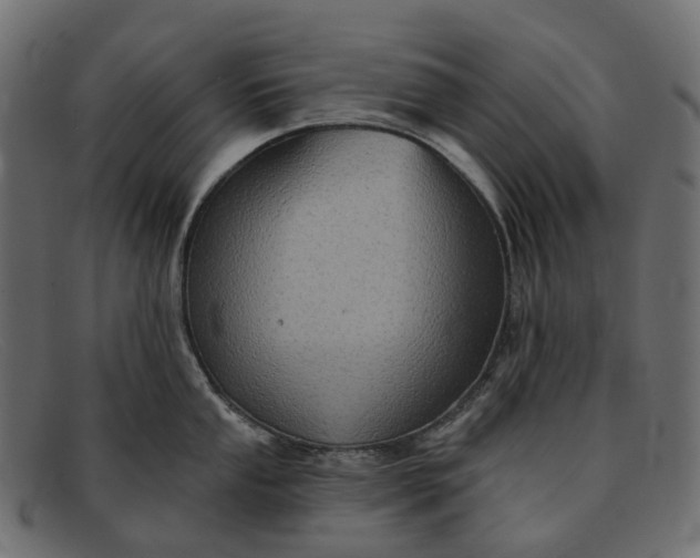 X0000091891053200709191213