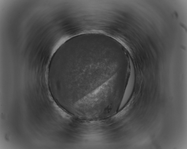 X0000091891054200709191213