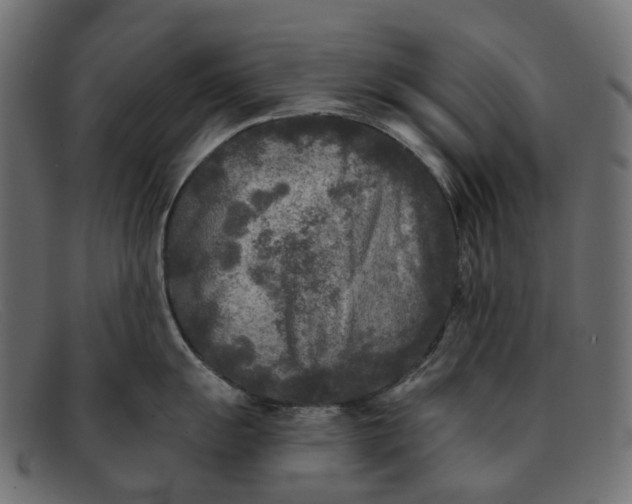 X0000091891055200709191213