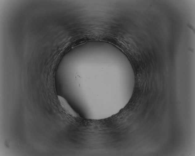 X0000091891057200709191213