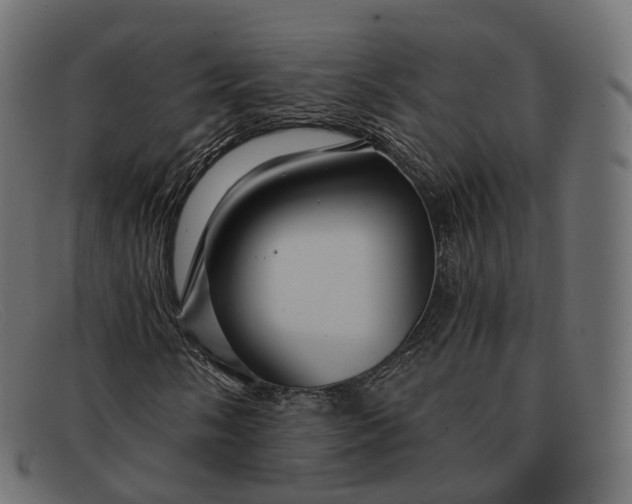 X0000091891058200709191213