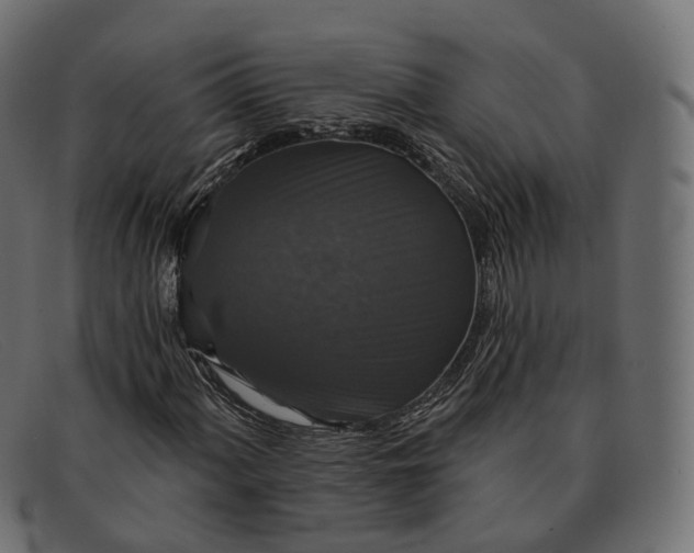 X0000091891060200709191213