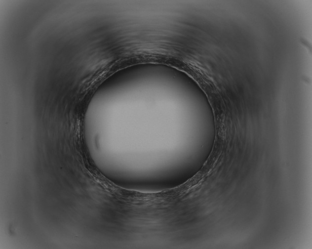 X0000091891061200709191213