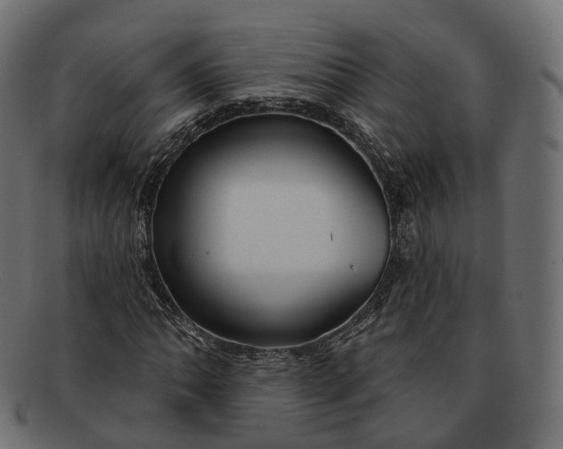 X0000091891062200709191213