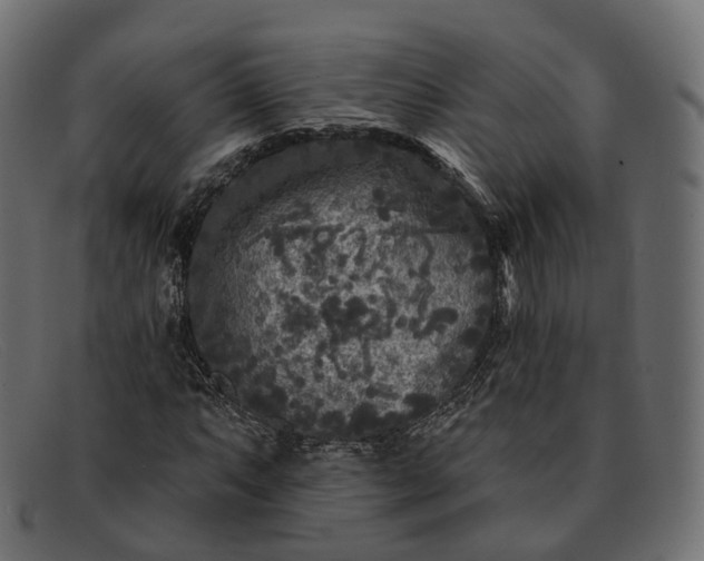 X0000091891063200709191213