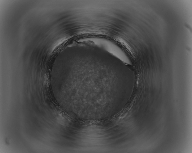 X0000091891064200709191213