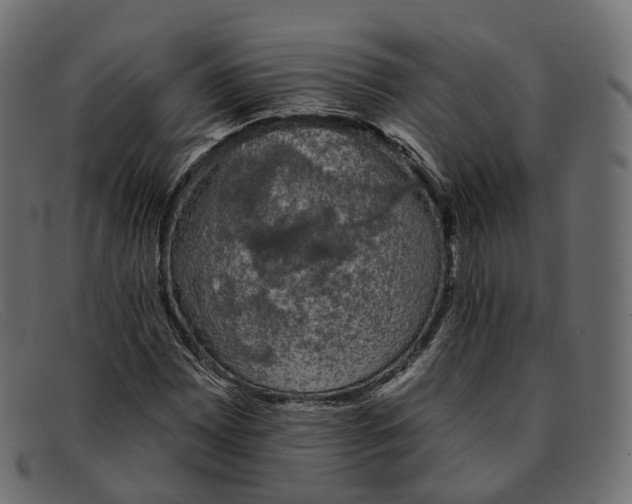 X0000091891065200709191213