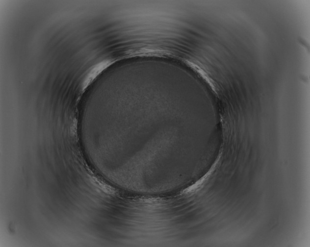 X0000091891066200709191213