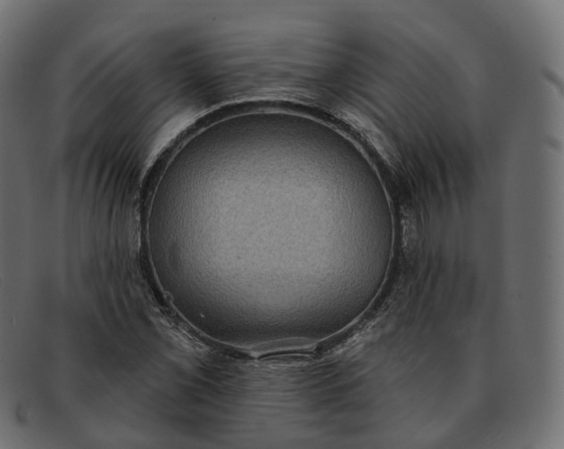 X0000091891069200709191213