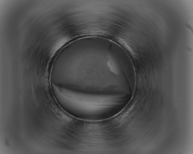 X0000091891071200709191213