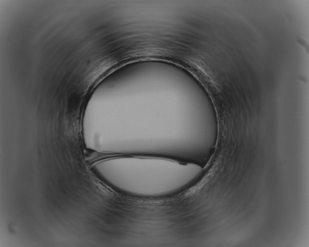 X0000091891073200709191213