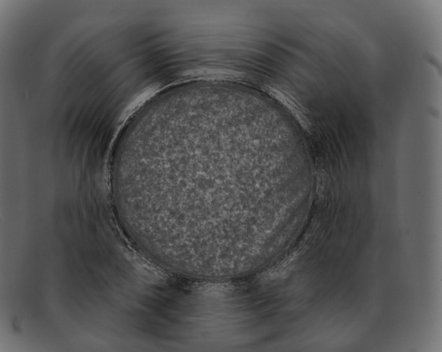 X0000091891074200709191213