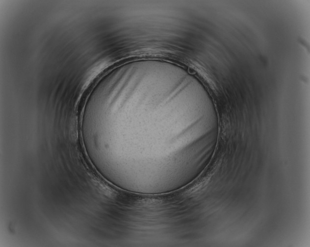 X0000091891075200709191213