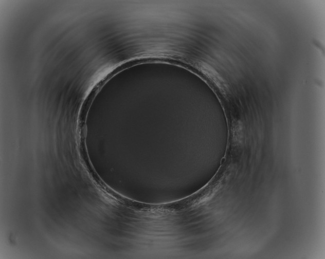 X0000091891077200709191212