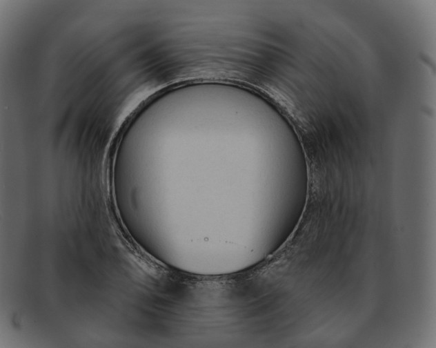 X0000091891078200709191212