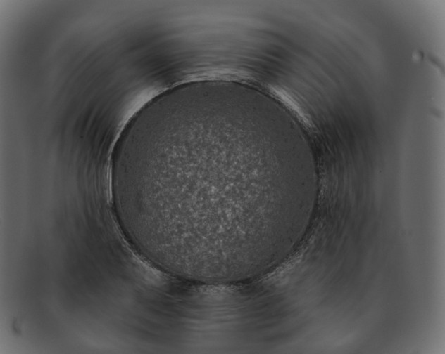 X0000091891079200709191212