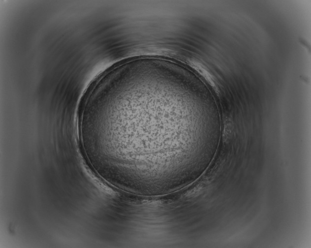 X0000091891080200709191212