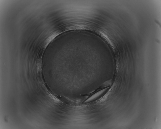 X0000091891081200709191212