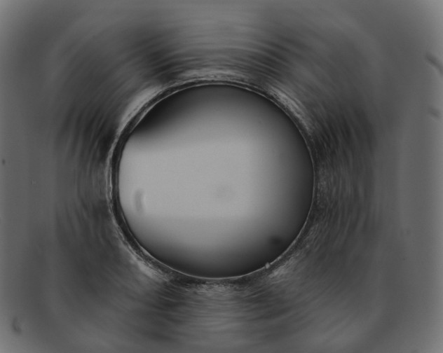 X0000091891082200709191212