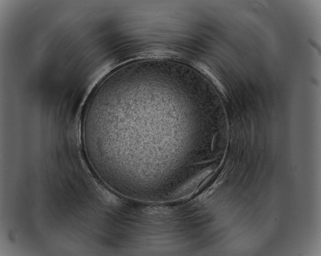 X0000091891083200709191212